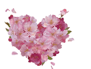 Cherry Blossom Heart - Free PNG