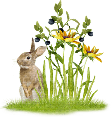 easter ostern Pâques paques deco tube jardin flower fleur garden bunny hase lapin animal grass - PNG gratuit