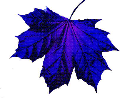 blue leaf Bb2 - фрее пнг