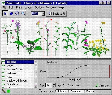 plants computer - png gratuito