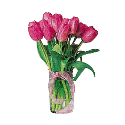 Kaz_Creations Deco Vase Flowers Colours - Free PNG