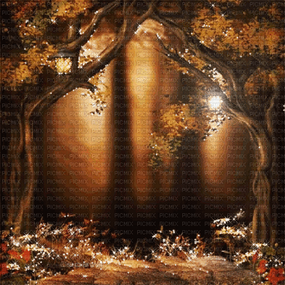 soave background animated autumn forest - GIF animate gratis
