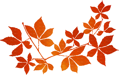 soave deco animated autumn branch liaves orange - 無料のアニメーション GIF
