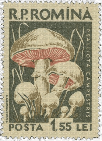 old romanian mushroom stamp - ilmainen png