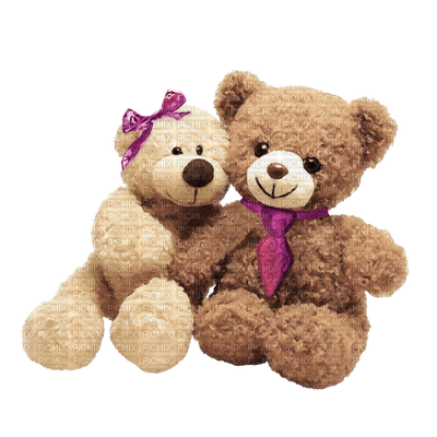 Kaz_Creations Cute Bear - ilmainen png
