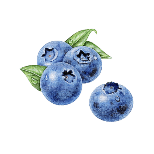blueberries Bb2 - фрее пнг