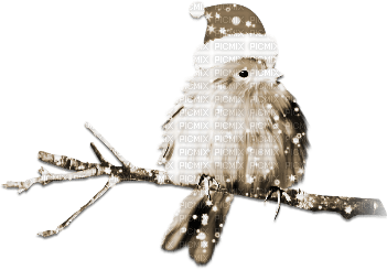 soave deco bird branch christmas winter sepia - Free PNG