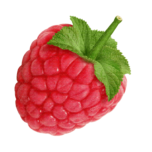 raspberry Bb2 - δωρεάν png
