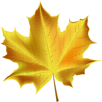 Kaz_Creations Autumn Fall Leaves Leafs