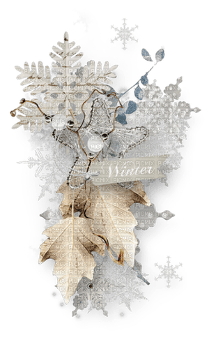 winter deco - Free PNG