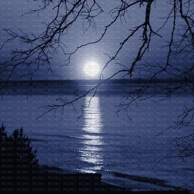 Full moon nightime - безплатен png