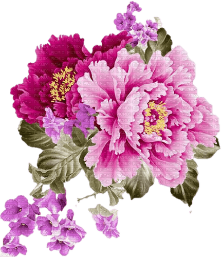 flowers - zdarma png