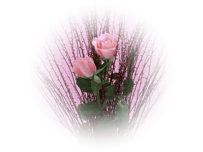 tube fleur - 無料png