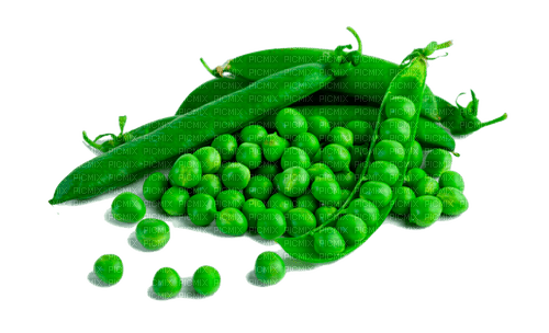 peas Bb2 - 免费PNG