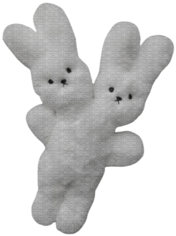 2 headed rabbit - gratis png