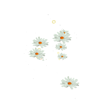 flowers anastasia - GIF animé gratuit