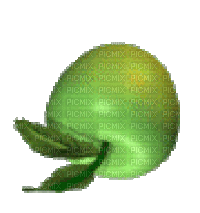 Rotating Food Green Apple Fruit - Ingyenes animált GIF