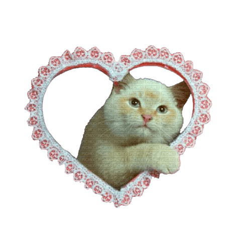 cat heart - бесплатно png