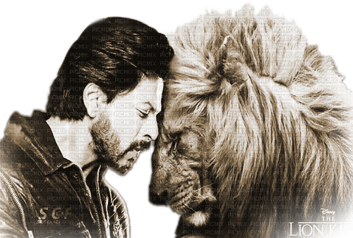 soave man Shahrukh Khan  bollywood lion animals - 免费PNG