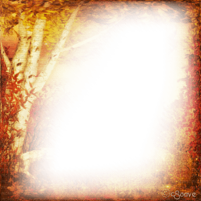 soave frame autumn tree forest yellow orange brown - PNG gratuit