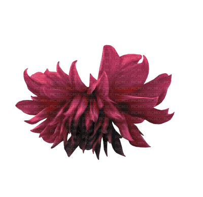minou-red-flower - kostenlos png