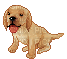 doggy - GIF animado gratis