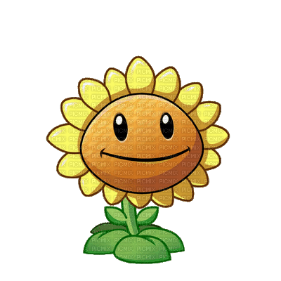 sunflower gif tournesol - PicMix