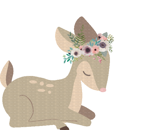 Sleeping Doe Deer - Ingyenes animált GIF