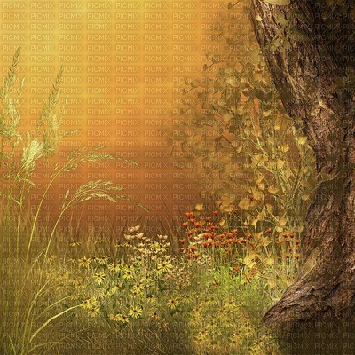 Kaz_Creations Deco  Backgrounds Background Autumn - png ฟรี