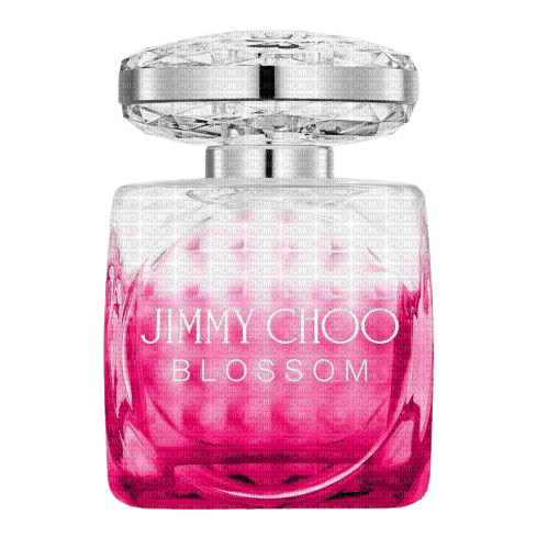Jimmy Choo Perfume - Bogusia - бесплатно png