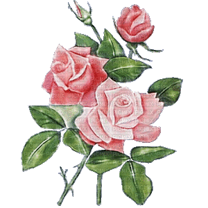 ani--blommor--flowers--pink - Bezmaksas animēts GIF
