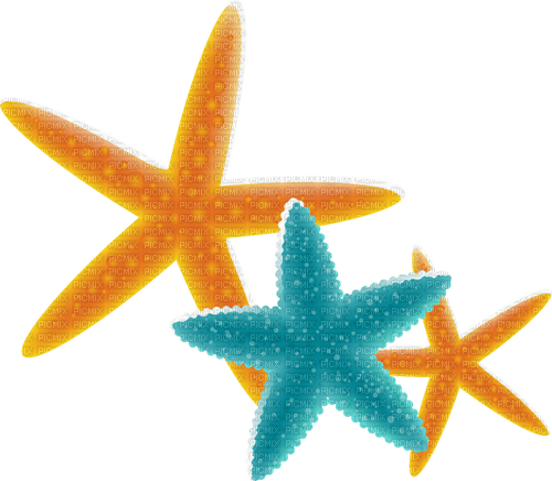 starfish Bb2 - png gratuito