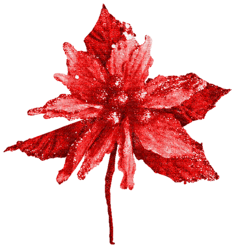 Flower.Red - PNG gratuit