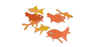 Surreal fish, gif, Adam64 - GIF animado grátis