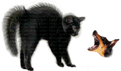 Kaz_Creations Cats Cat Kitten Dog - PNG gratuit