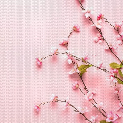 Pink Flowers Background - kostenlos png