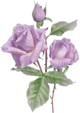 Flowers purple bp - GIF animé gratuit