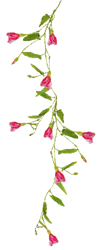 fleurs roses - GIF animado gratis