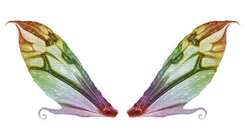 fairy flügel wings - Animovaný GIF zadarmo