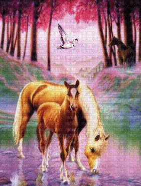 horses!--NitsaPap - GIF animado grátis