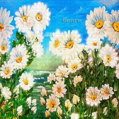 Y.A.M._Summer background flowers - Бесплатни анимирани ГИФ