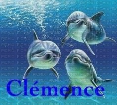 Clémence - 無料png
