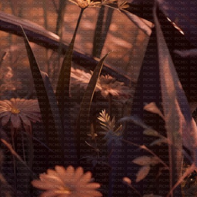 Brown Flowers & Grass Close-Up - 免费PNG