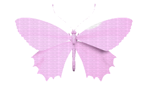 Butterfly - Бесплатни анимирани ГИФ