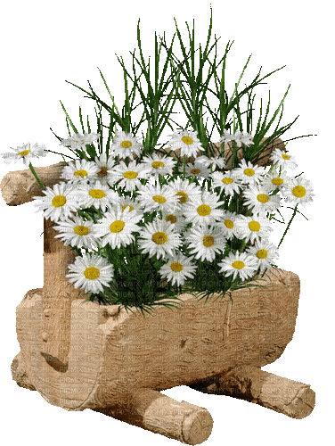 Bloemen en planten - Besplatni animirani GIF
