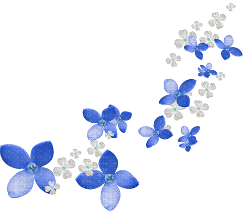 Flowers.White.Blue - 免费PNG