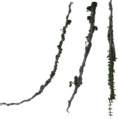 roots - zdarma png