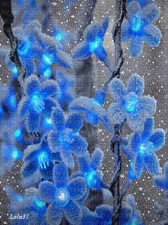 FLOWERS - Δωρεάν κινούμενο GIF