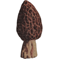 Mushroom - bezmaksas png