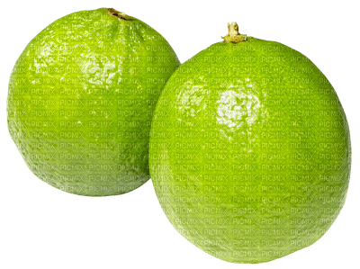 Kaz_Creations Fruit Lime - ingyenes png